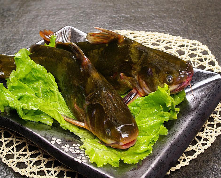 酱焖嘎牙子