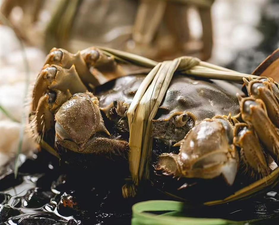 大闸蟹（2.5两母）