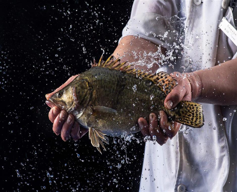 鳌花鱼(清蒸.家焖)