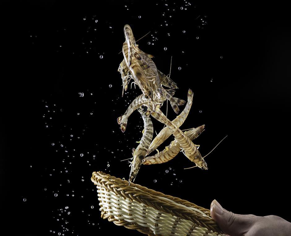 斑节虾（两吃  白灼）