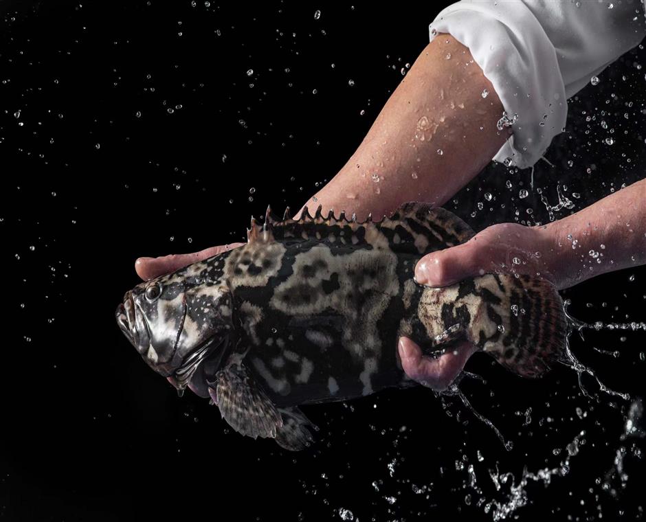 石斑鱼（清蒸）