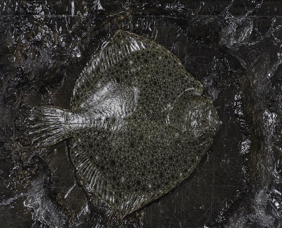 多宝鱼（清蒸干煎）